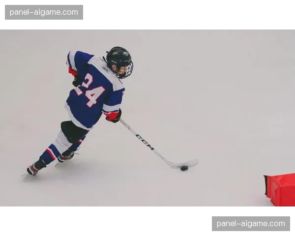 科技应用：AI辅助训练系统开始进入北美大学冰球队日常训练
